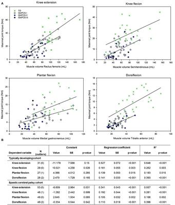 The Contribution of Decreased Muscle Size to Muscle Weakness in Children With Spastic Cerebral Palsy
